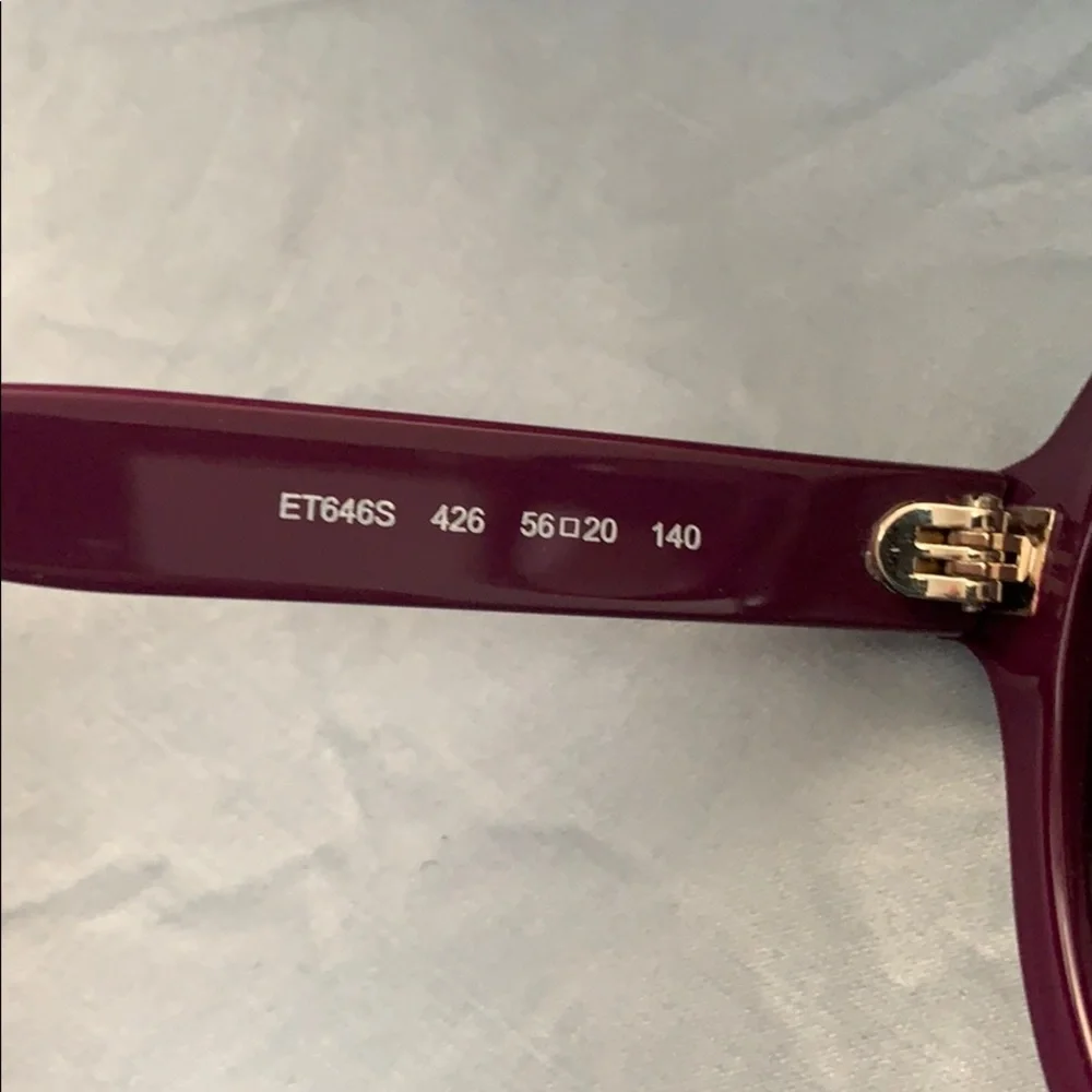 NWT ETRO Blue Paisley Sunglasses w/case